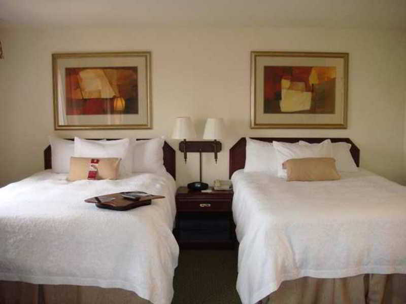 Hampton Inn & Suites Сан Маркос Номер фото